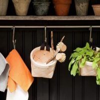 velso_image